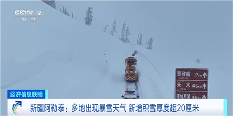 阿勒泰蚊子最多的地方叫啥？今天哈巴河的天气情况