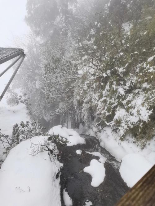 瓦屋山11月去有雪吗？瓦屋山景区天气情况