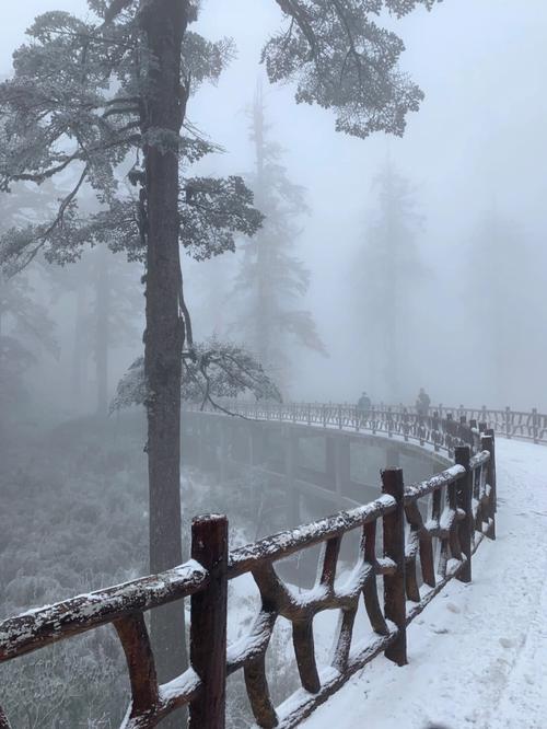 瓦屋山11月去有雪吗?瓦屋山景区天气情况-图3 瓦屋山11月去有雪吗?瓦屋山景区天气情况-图3