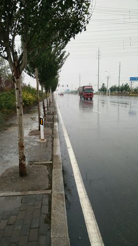 辽宁省盘锦市海拔多少米?现在盘锦什么天气情况-图2 辽宁省盘锦市海拔多少米?现在盘锦什么天气情况-图2