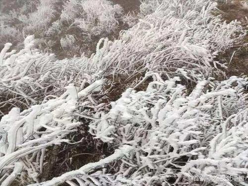 岑溪天龙顶下雪了吗？岑溪今天的天气情况