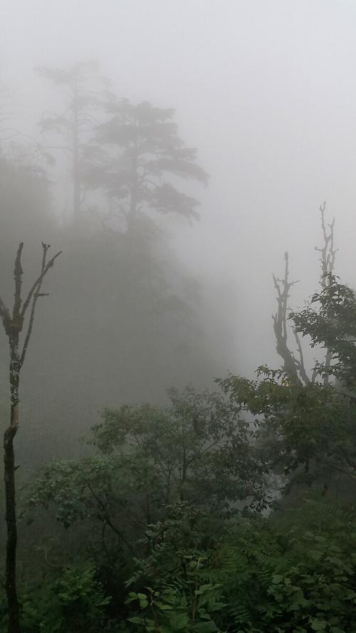 峨眉山大雾多久能散开？峨眉明天的天气情况