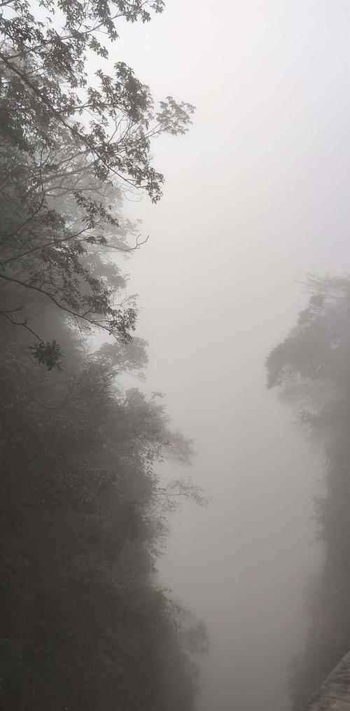 峨眉山大雾多久能散开?峨眉明天的天气情况-图3 峨眉山大雾多久能散开?峨眉明天的天气情况-图3