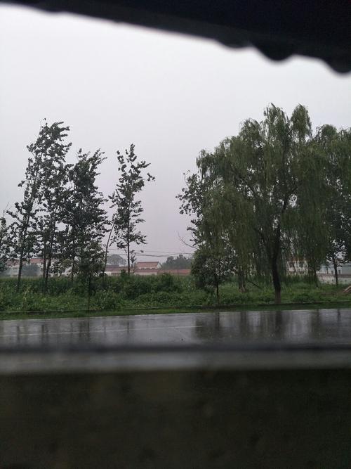 温县特色?河南新乡温县天气情况-图3 温县特色?河南新乡温县天气情况-图3