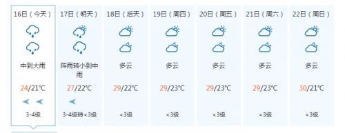 湛江12月份天气怎么样?要穿什么衣服?湛江22号天气情况-图3 湛江12月份天气怎么样?要穿什么衣服?湛江22号天气情况-图3