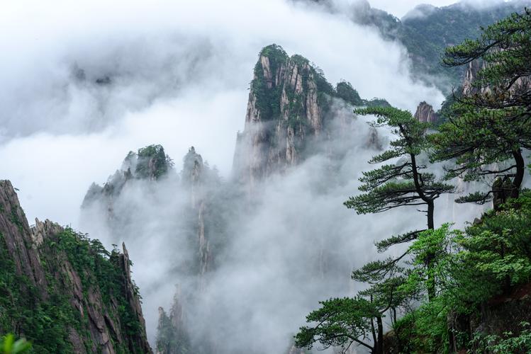 黄山最近一周天气适合去吗?黄山景区天气情况-图3 黄山最近一周天气适合去吗?黄山景区天气情况-图3