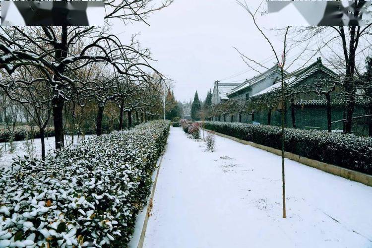 陕西省哪个地方下雪了?长武县天气情况-图3 陕西省哪个地方下雪了?长武县天气情况-图3