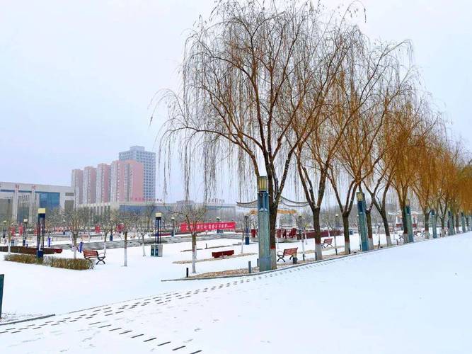 陕西省哪个地方下雪了?长武县天气情况-图2 陕西省哪个地方下雪了?长武县天气情况-图2