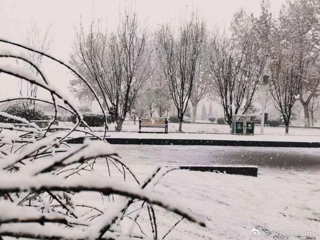 廊坊下雪是真的吗?河北廊坊的天气情况-图3 廊坊下雪是真的吗?河北廊坊的天气情况-图3