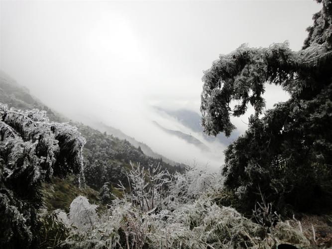 衡山下周会有雾凇吗?衡山15号天气情况-图3 衡山下周会有雾凇吗?衡山15号天气情况-图3