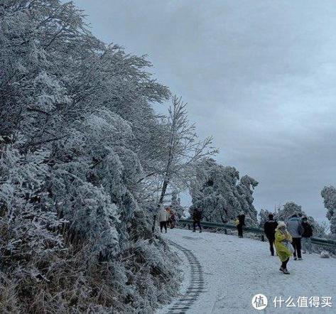衡山下周会有雾凇吗?衡山15号天气情况-图2 衡山下周会有雾凇吗?衡山15号天气情况-图2