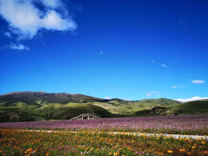 理塘花海最佳时间?9月理塘天气情况-图3 理塘花海最佳时间?9月理塘天气情况-图3