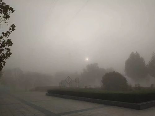 柏林的雾是什么样的？今天柏林的天气情况