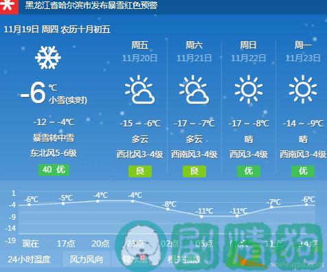 23年哈尔滨下雪停课吗?哈尔滨23号天气情况-图1 23年哈尔滨下雪停课吗?哈尔滨23号天气情况-图1