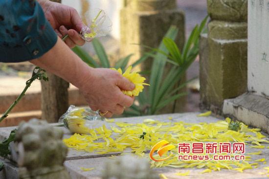 清明去宁波上坟,当地有什么习俗?宁波清明天气情况-图3 清明去宁波上坟,当地有什么习俗?宁波清明天气情况-图3