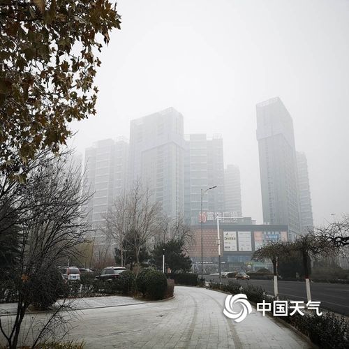 廊坊大雾多久可以散?廊坊明天天气情况-图3 廊坊大雾多久可以散?廊坊明天天气情况-图3