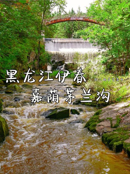 茅兰沟开园了吗？嘉荫今天的天气情况