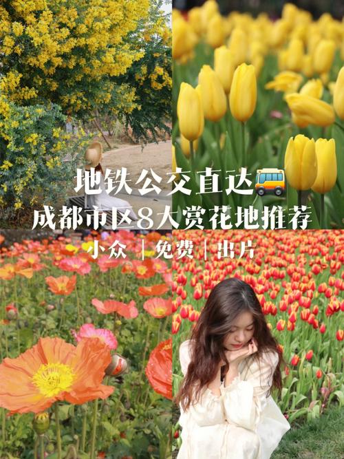 地铁直达的赏花地点？金堂淮口天气情况
