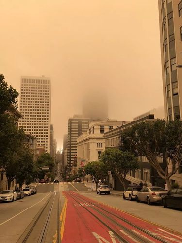 旧金山的气候特点是什么?旧金山的天气情况-图3 旧金山的气候特点是什么?旧金山的天气情况-图3