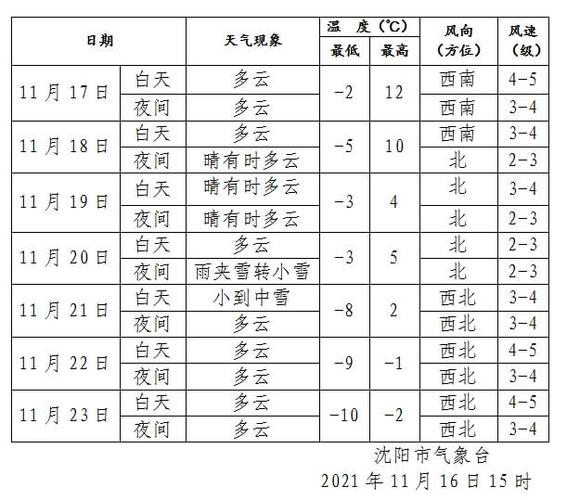沈阳天气未来三天有雪吗?去年春节沈阳天气情况-图1 沈阳天气未来三天有雪吗?去年春节沈阳天气情况-图1