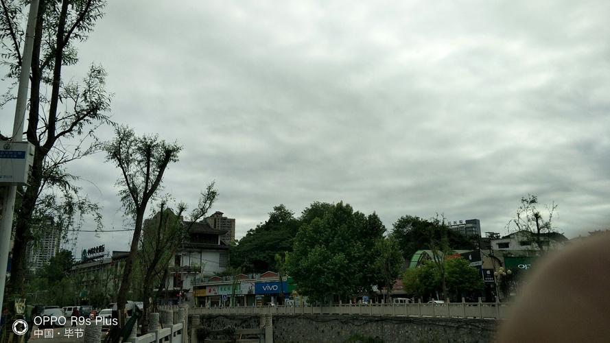 贵州8月份天气适合旅游吗?织金县天气情况-图3 贵州8月份天气适合旅游吗?织金县天气情况-图3