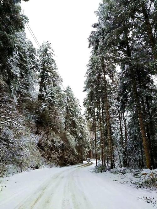 元旦四川哪里下雪?汶川到松潘天气情况-图3 元旦四川哪里下雪?汶川到松潘天气情况-图3