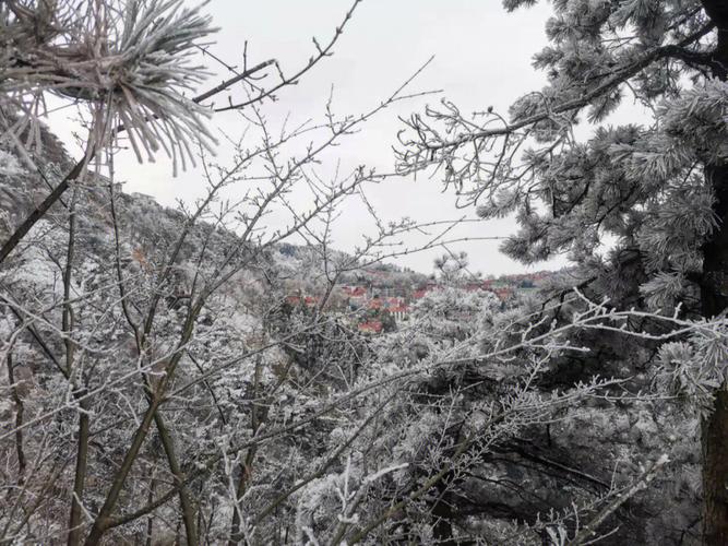 庐山12月30号还有雪吗?庐山明天天气情况-图2 庐山12月30号还有雪吗?庐山明天天气情况-图2