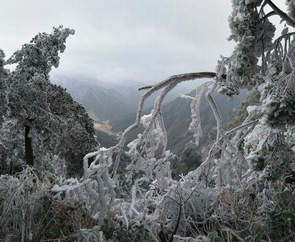 乐昌九峰山今天下雪吗?乐昌市天气情况-图2 乐昌九峰山今天下雪吗?乐昌市天气情况-图2