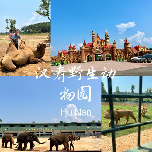 汉寿野生动物园人多吗？汉寿今天的天气情况