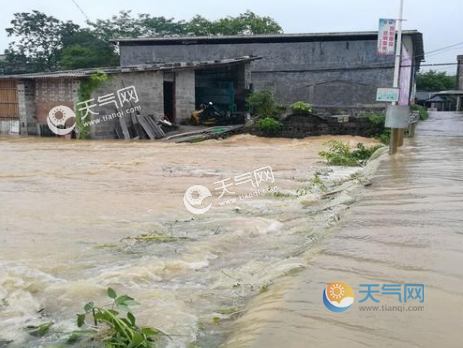 广西哪个县有大雨?请问广西贺州天气情况-图1 广西哪个县有大雨?请问广西贺州天气情况-图1