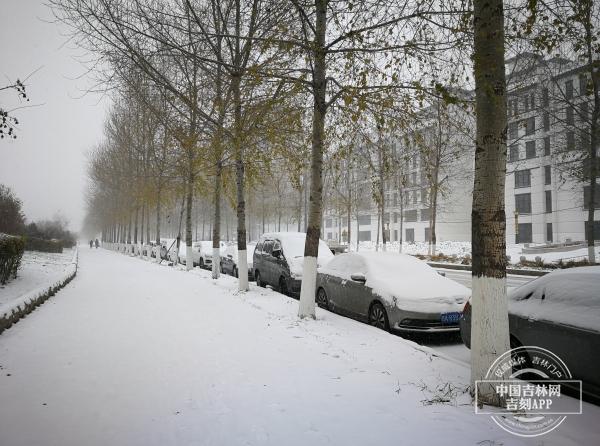 长春11月24号雪休吗?长春4号天气情况-图2 长春11月24号雪休吗?长春4号天气情况-图2