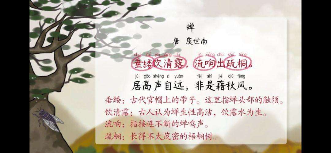 是谁告诉蝉要下雨?蝉怎样考察天气情况-图2 是谁告诉蝉要下雨?蝉怎样考察天气情况-图2
