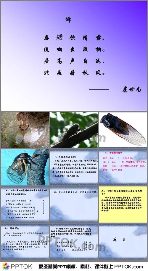 是谁告诉蝉要下雨？蝉怎样考察天气情况