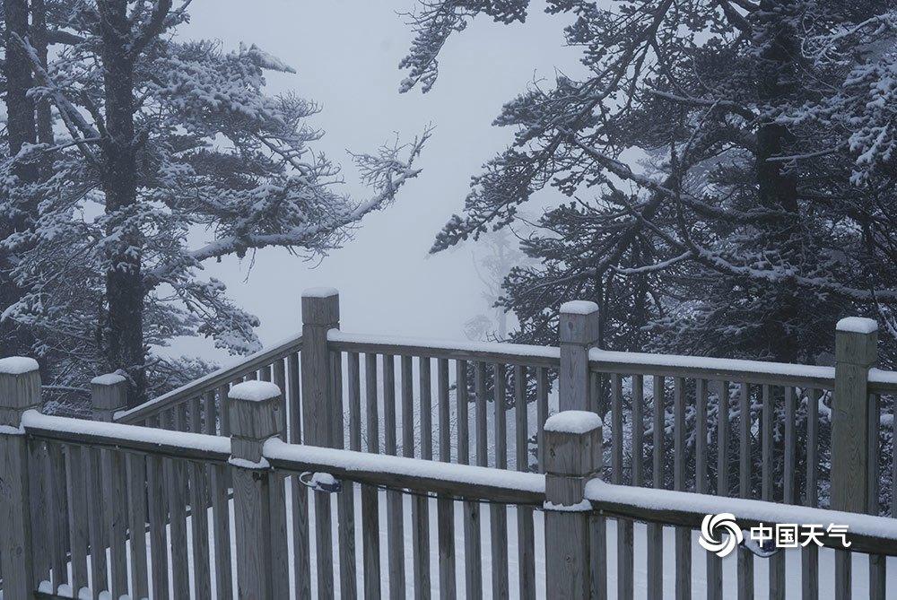西岭雪山1月中旬有雪吗?西岭雪山天气情况-图2 西岭雪山1月中旬有雪吗?西岭雪山天气情况-图2
