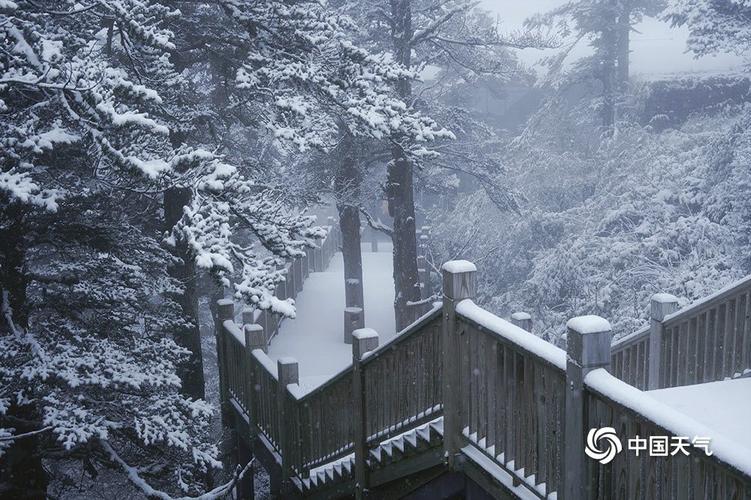 西岭雪山1月中旬有雪吗?西岭雪山天气情况-图3 西岭雪山1月中旬有雪吗?西岭雪山天气情况-图3