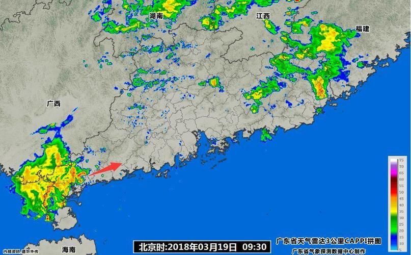 湛江市现在的雨水有多深?湛江17号天气情况-图3 湛江市现在的雨水有多深?湛江17号天气情况-图3