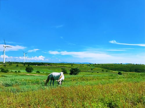 现在张北的天气适合穿什么？张北草原天气情况查询