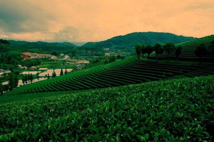 普洱思茅适合过冬吗?云南普洱冬季天气情况-图2 普洱思茅适合过冬吗?云南普洱冬季天气情况-图2