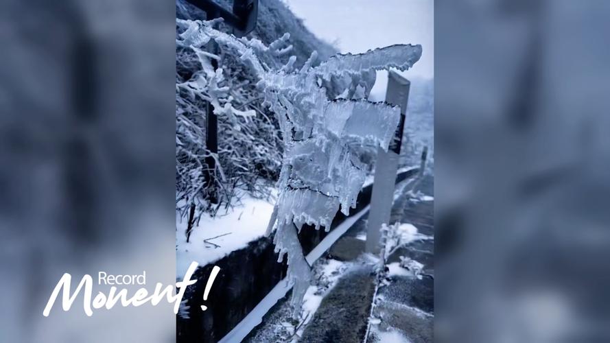 义乌附近哪里下雪了?义乌今天的天气情况-图2 义乌附近哪里下雪了?义乌今天的天气情况-图2
