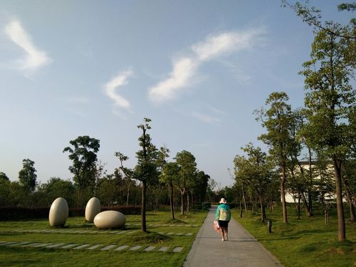 瑶海区今天雨下得大吗?合肥瑶海区天气情况-图3 瑶海区今天雨下得大吗?合肥瑶海区天气情况-图3