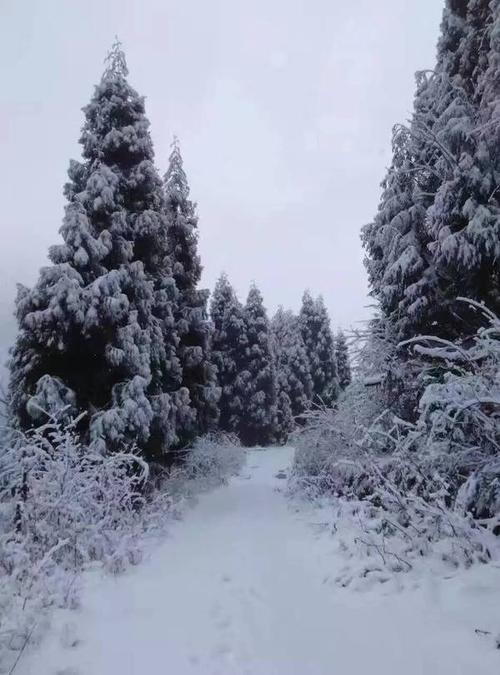 彭州到龙门山镇太阳湾风景区有多少公里？彭州龙门山镇天气情况