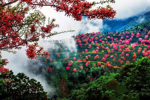 无量山最佳旅游时间?景东县历史天气情况-图2 无量山最佳旅游时间?景东县历史天气情况-图2
