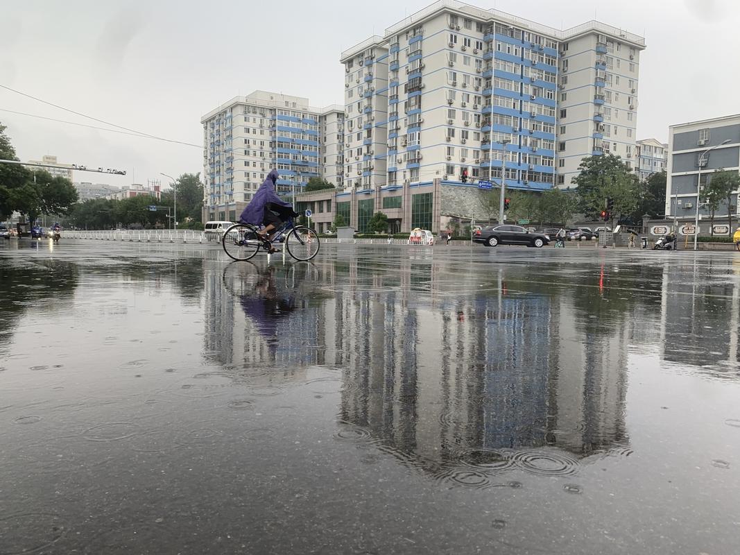 下雨天适合去东北虎林园么?虎林市天气情况-图2 下雨天适合去东北虎林园么?虎林市天气情况-图2