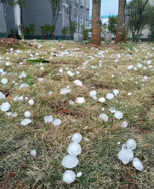 今天丹东东港冰雹下得大吗?丹东大梨树天气情况-图2 今天丹东东港冰雹下得大吗?丹东大梨树天气情况-图2