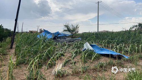 今天丹东东港冰雹下得大吗?丹东大梨树天气情况-图3 今天丹东东港冰雹下得大吗?丹东大梨树天气情况-图3