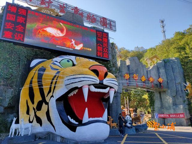 栾川竹海野生动物园下雨动物出来吗?栾川今天的天气情况-图2 栾川竹海野生动物园下雨动物出来吗?栾川今天的天气情况-图2