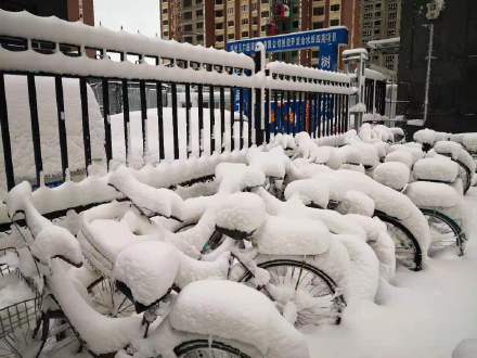 海拉尔下雪了吗?海拉尔冬季天气情况-图3 海拉尔下雪了吗?海拉尔冬季天气情况-图3
