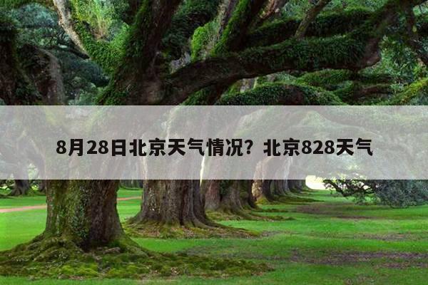 北京8月8号下雨吗?8号的天气情况-图3 北京8月8号下雨吗?8号的天气情况-图3