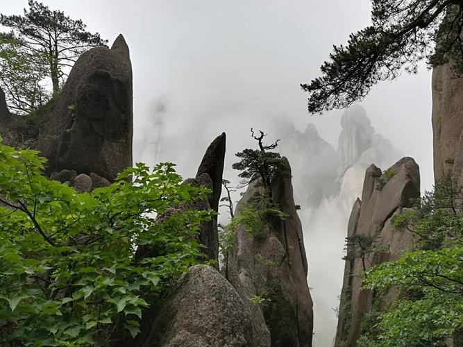 安徽黄山顶上的温度晚上现在多少度?安徽黄山的天气情况-图2 安徽黄山顶上的温度晚上现在多少度?安徽黄山的天气情况-图2