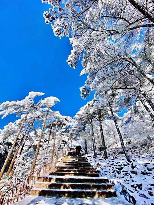 黄山冬天多少度?安徽黄山什么天气情况-图2 黄山冬天多少度?安徽黄山什么天气情况-图2